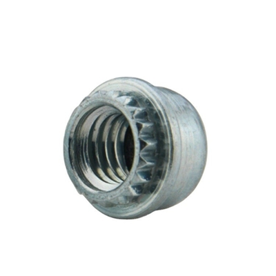 Processo di timbrazione per macchine automobilistiche Finger-screw in acciaio inox con pannello esterno