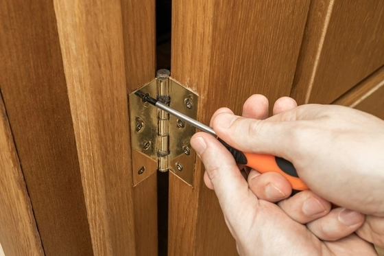 Rivestimento in polvere Cerniera semi-nascosto auto-chiusura per porta armadio Hardware in acciaio inossidabile